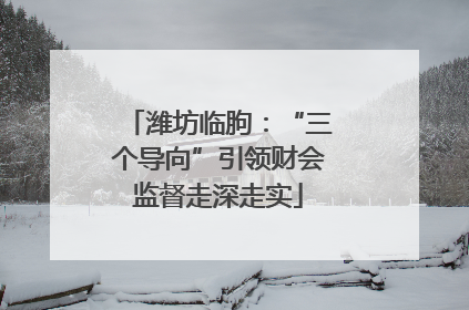 潍坊临朐：“三个导向”引领财会监督走深走实